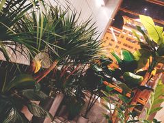 -泽西岛·影院沐足SPA(西大街店)