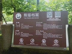 -都江堰中华大熊猫苑