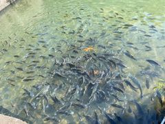 -美亭美榔姐妹塔