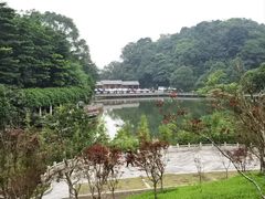 -广州市帽峰山景区