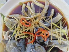 -煲来饱去冷水鱼