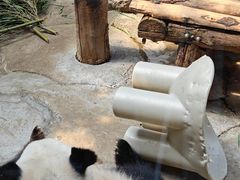 -北京动物园
