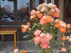 -巧手馄饨(箍桶巷店)