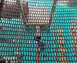 -恐龙探索乐园(磁器口店)