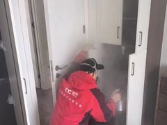 -浙大冰虫甲醛检测治理(闵行店)