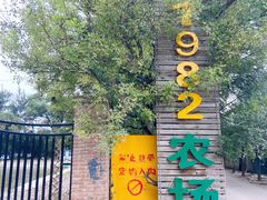 -1982农场