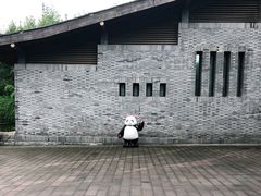 -都江堰中华大熊猫苑