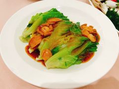 鲜鲍片扒生菜胆-东方印象大酒楼(拱北店)