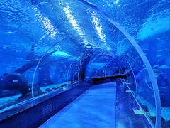 -多彩贵州城极地海洋世界