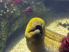 -泉城欧乐堡海洋极地世界