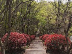 -南京市江宁方山