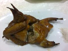 红烧乳鸽-茂港柏香(侨港路店)