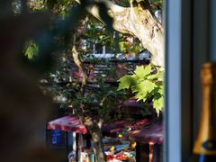 -蝶舍·MAISON PAPILLON