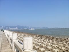 -野狸岛