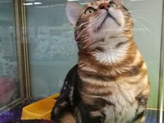 -乐宠宠物店(世纪金源店)