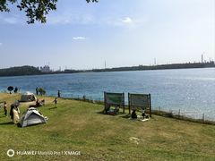 -露天矿生态公园