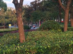 -南翔镇银翔湖公园