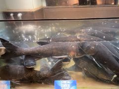 -上名堂·鱼头好吃(体育场路店)