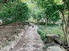-秋霞圃