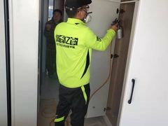-绿色亿家除甲醛机构