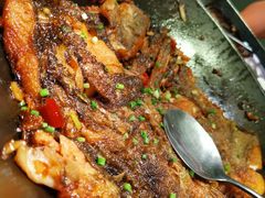 锅焗碟鱼头-开海·红岛海鲜虾水饺(石老人店)