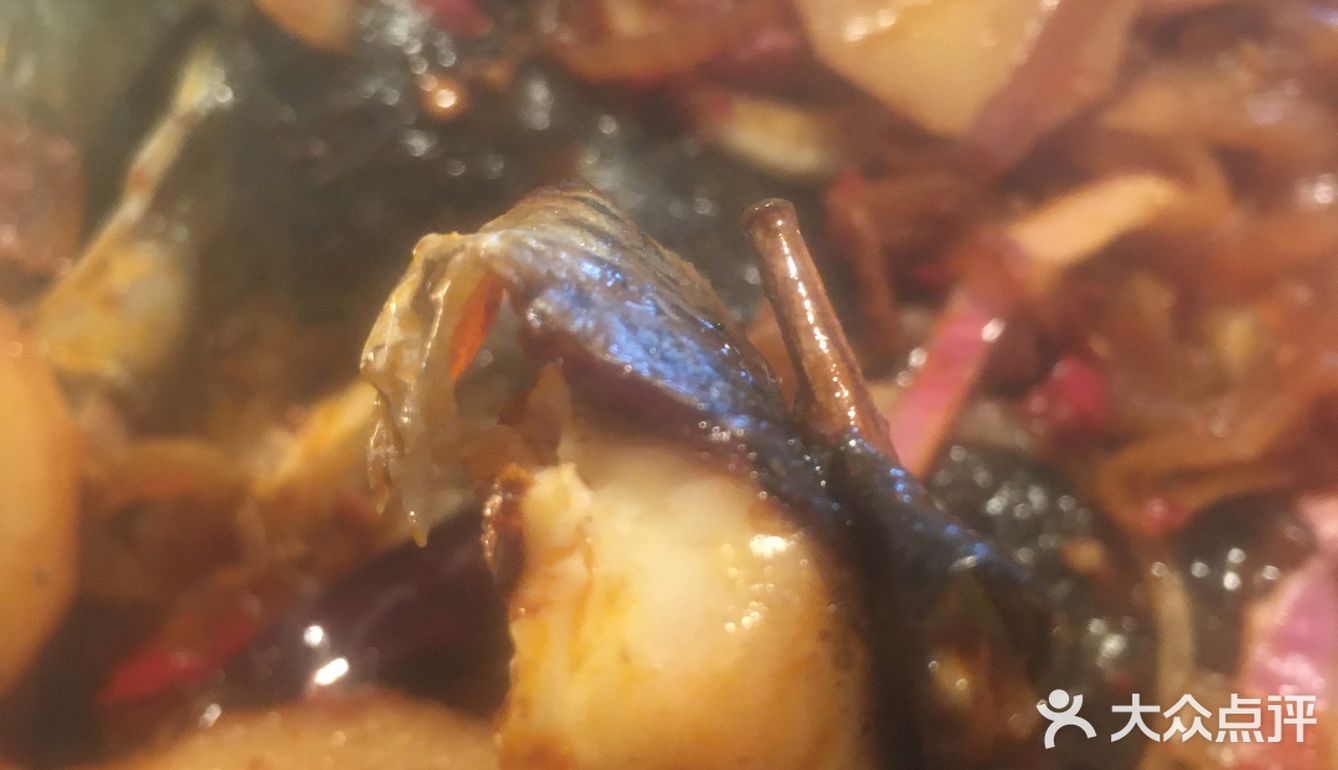 海鲜、五花肉、蔬菜经过烧烤后