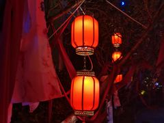 -七彩云南欢乐世界