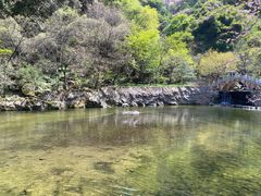 -西安祥峪森林公园