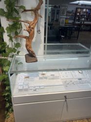 -冰岛刺青·手工耳饰品售卖·专业纹身