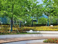 -北外滩滨江绿地