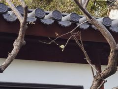 -汇龙潭