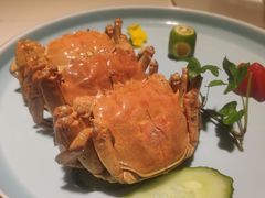 -姜君·千岛湖鱼头馆(浦东大道店)