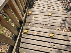 -帽儿山国家森林公园