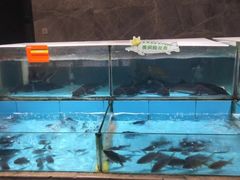 -饭怕鱼(阳光100店)