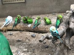 -银川动物园