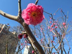 -北京明城墙遗址公园