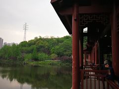 -重庆彩云湖湿地公园