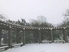 -河海大学(江宁校区)