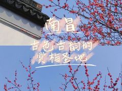 -八大山人梅湖景区