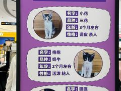-丽达购物中心(崂山店)