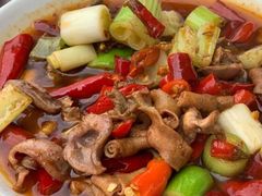 -金水泊山庄·花椒鸡(铁山坪店)