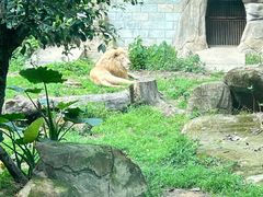 -福州动物园