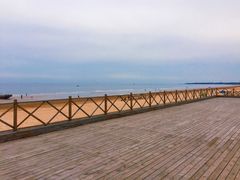 -日照海滨国家森林公园
