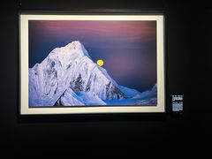 -罗红摄影艺术馆