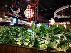 -龙泉人椰子鸡(龙昆南总店)