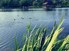 -前关湿地公园