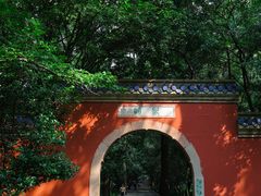 -灵谷景区