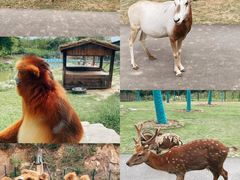 -南京汤山紫清湖生态旅游温泉度假区