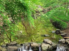 -西湖风景区十里琅珰-五云山