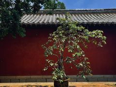 -建水文庙